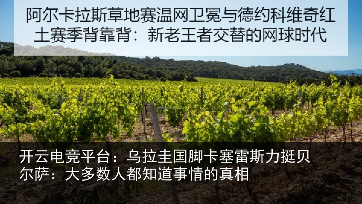 开云电竞平台:乌拉圭国脚卡塞雷斯力挺贝尔萨:大多数人都知道事情的真相