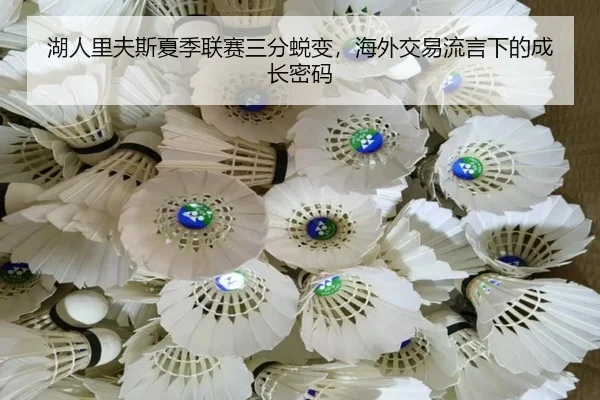 hu-ren-li-fu-si-xia-ji-lian-sai-san-fen-tui-bian-hai-wai-jiao-yi-liu-yan-xia-de-cheng-zhang-mi-ma-3-447.jpg