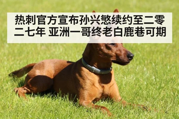 热刺官方宣布孙兴慜续约至二零二七年 亚洲一哥终老白鹿巷可期